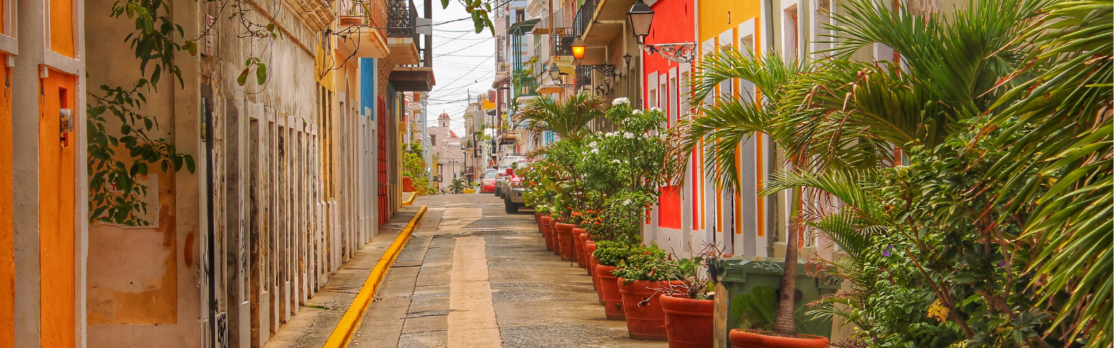 Narrow street with vibrant, colorful buildings and lush greenery in pots lining the sidewalk. 